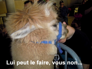 L'intuition de Rainbow...